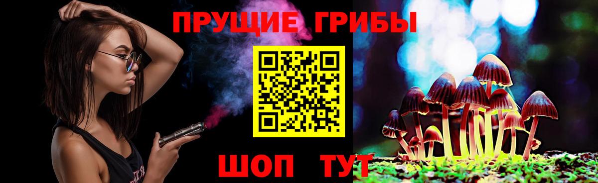 Галлюциногенные грибы Magic Shrooms Сальск